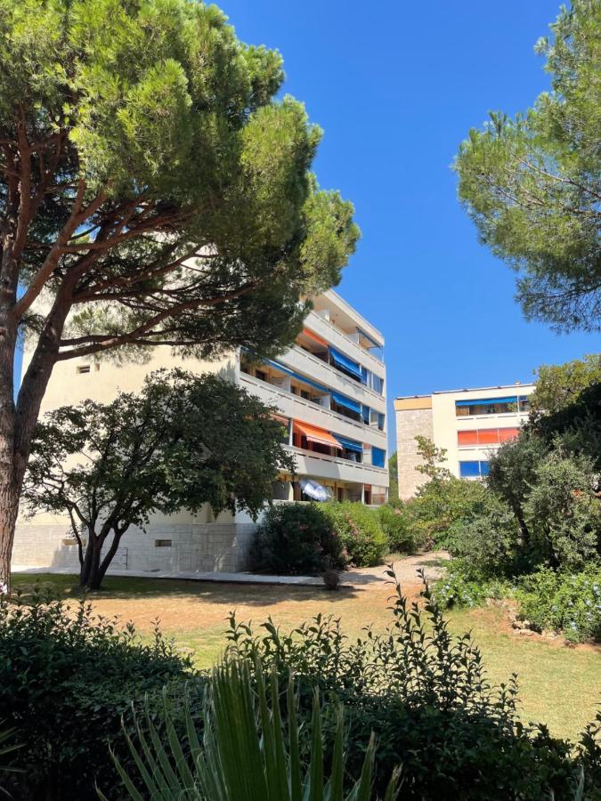 - 50m2 Au Calme, A Pieds Apartment *